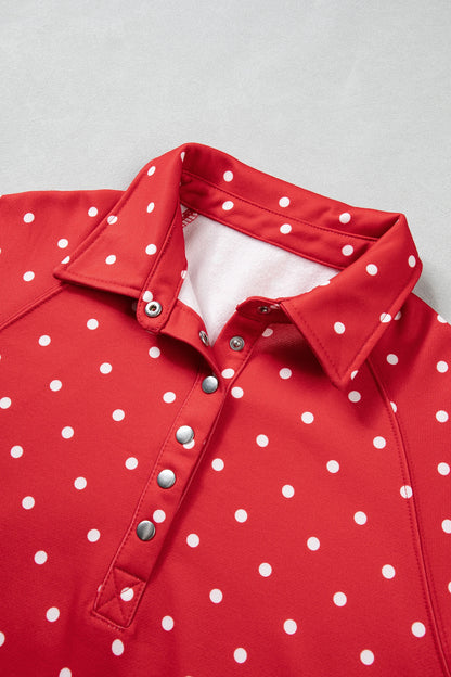 Polka Dot Buttoned Collar Long Sleeve Sweatshirt