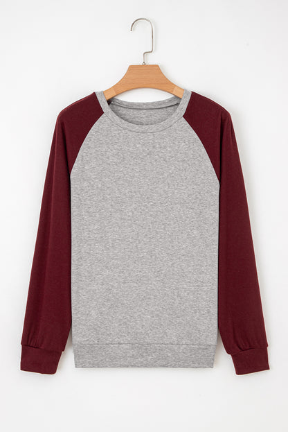 Colorblock Raglan Long Sleeve T-Shirt