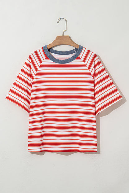 Stripe Contrast Collar Raglan Sleeve T-Shirt