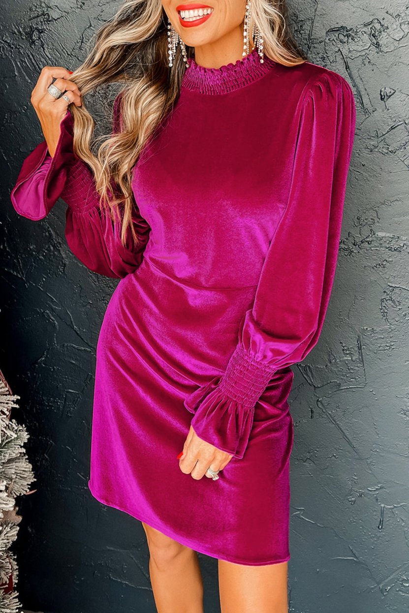 Velvet Ruffle Puff Sleeve Mini Dress