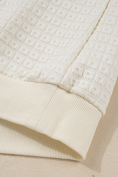 Pineapple Textured Half-Button Collared Sweatshirt