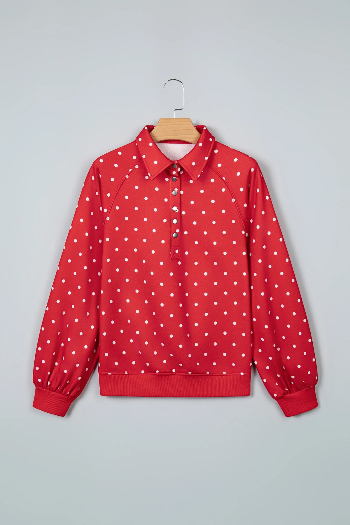 Polka Dot Buttoned Collar Long Sleeve Sweatshirt