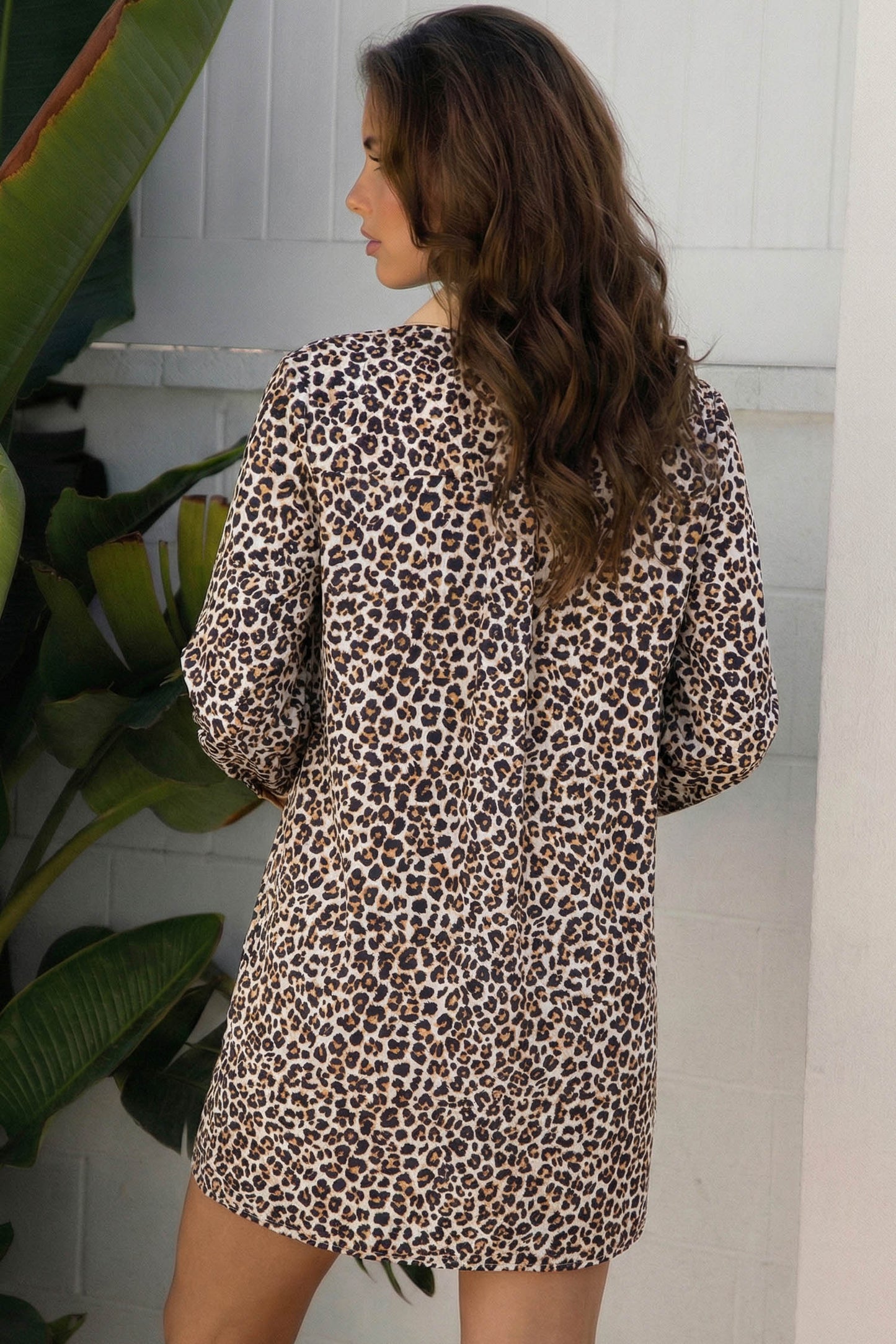 Leopard Stripe Collar Half Buttoned Flared Dress