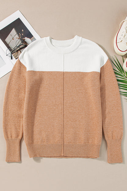 Colorblock Ribbed Trim Round Neck Sweater