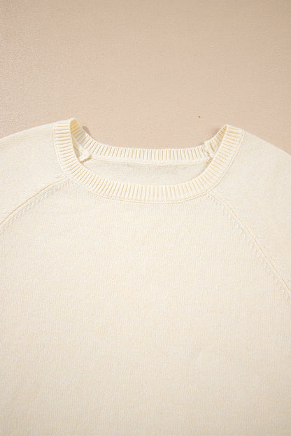 Solid Buttoned Bishop Long Sleeve Crew Neck Sweater