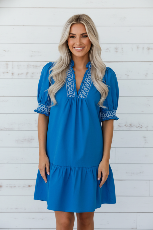 Embroidered Smocked V-Neck Puff Sleeve Mini Dress