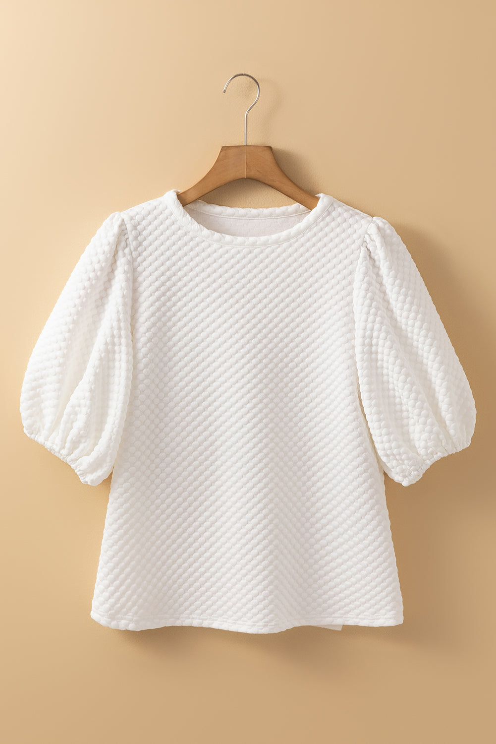 Solid Textured Puff Sleeve Blouse