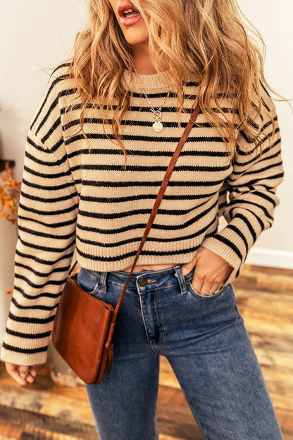 Stripe Knit Crewneck Cropped Sweater