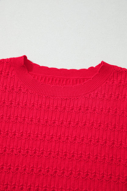Solid Knit Ribbed Cuff Crewneck Sweater