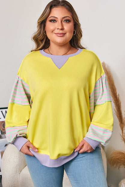 Plus Size Stripe Colorblock Patchwork Long Sleeve Crewneck Sweatshirt
