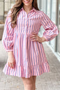 Stripe Ruffle Hem Mini Dress