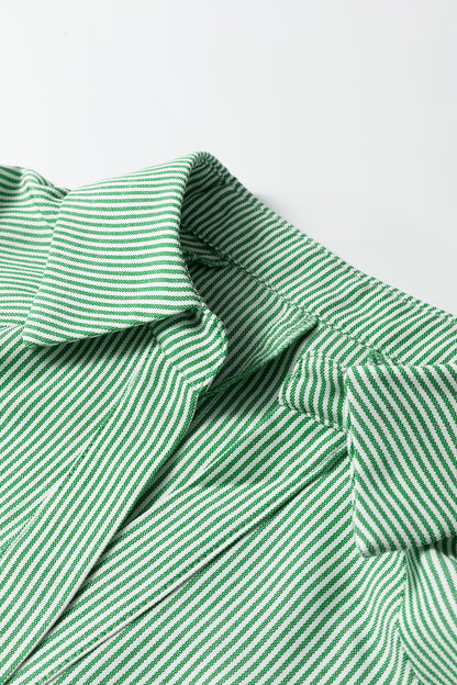 Stripe Tied Short Sleeve Collared Blouse