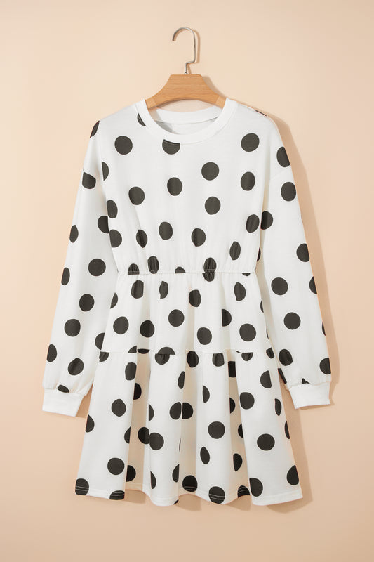 Polka Dot Long Sleeve Flared Mini Dress