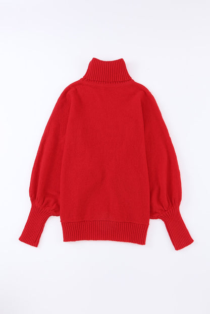 Embroidered Merry Turtleneck Sweater