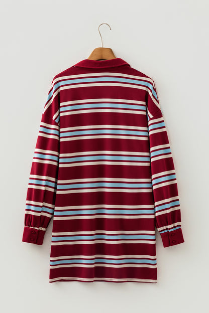 Stripe Polo Collar Long Sleeve T-Shirt Mini Dress