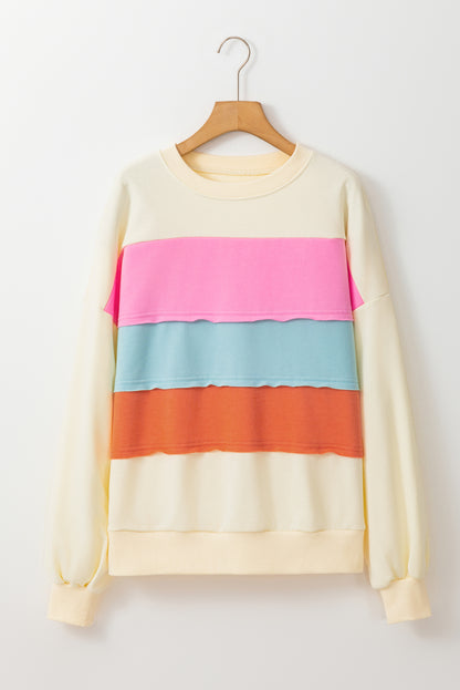 Colorblock Reverse Seam Crewneck Sweatshirt