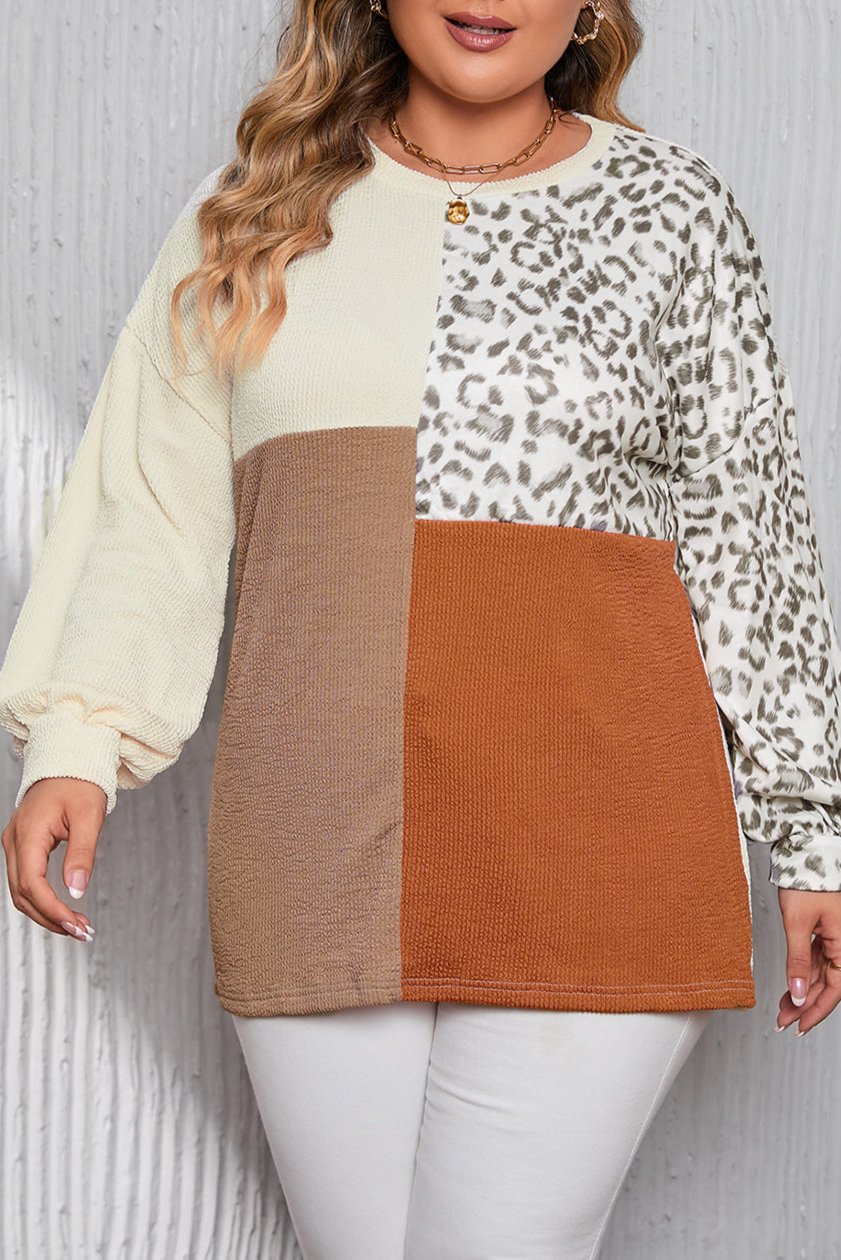 Plus Size Colorblock Leopard Ribbed Top