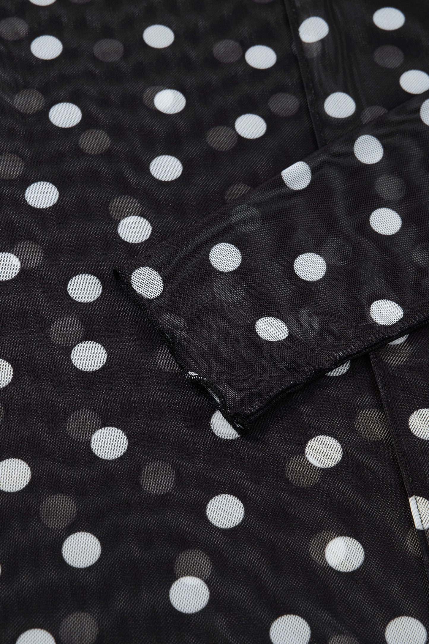 Polka Dot Mesh Mock Neck Long Sleeve Top