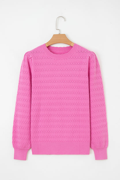 Solid Knit Ribbed Cuff Crewneck Sweater