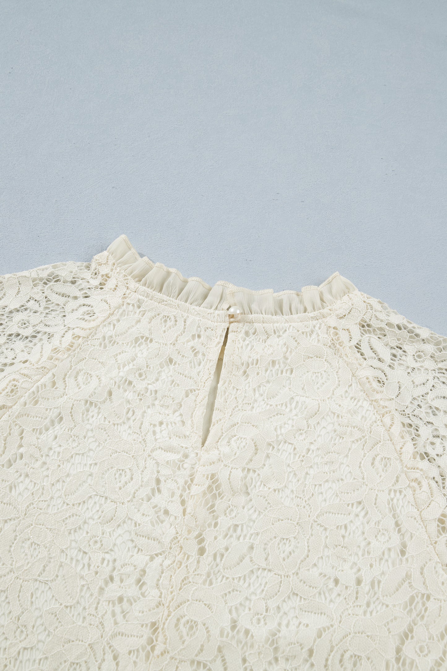 Sheer Lace Ruffle Trim Long Sleeve Blouse