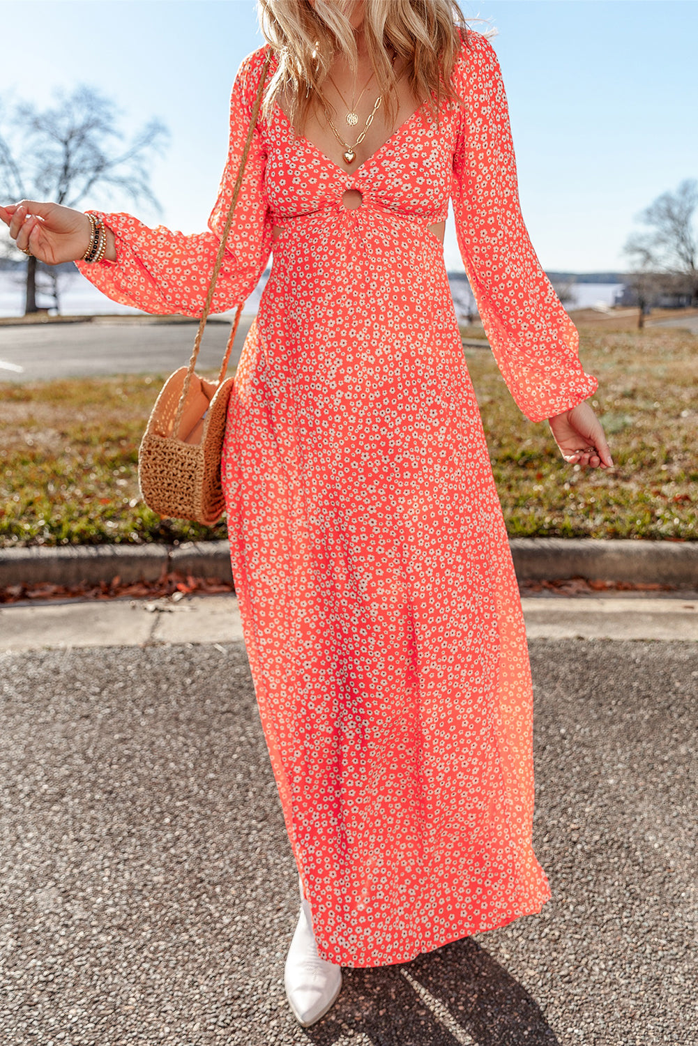 Floral Puff Sleeve V-Neck Dress