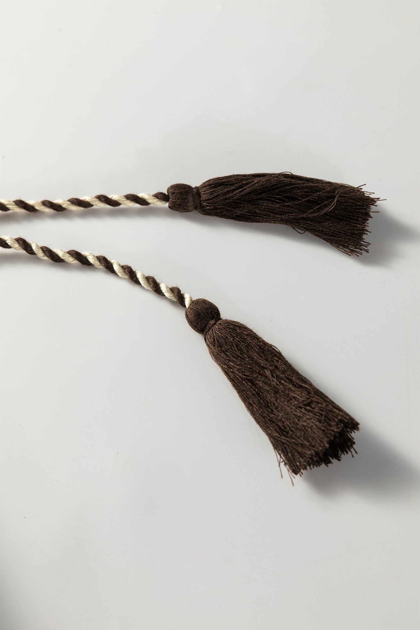 Floral Embroidered Tassel-Tie Puff Sleeve Blouse