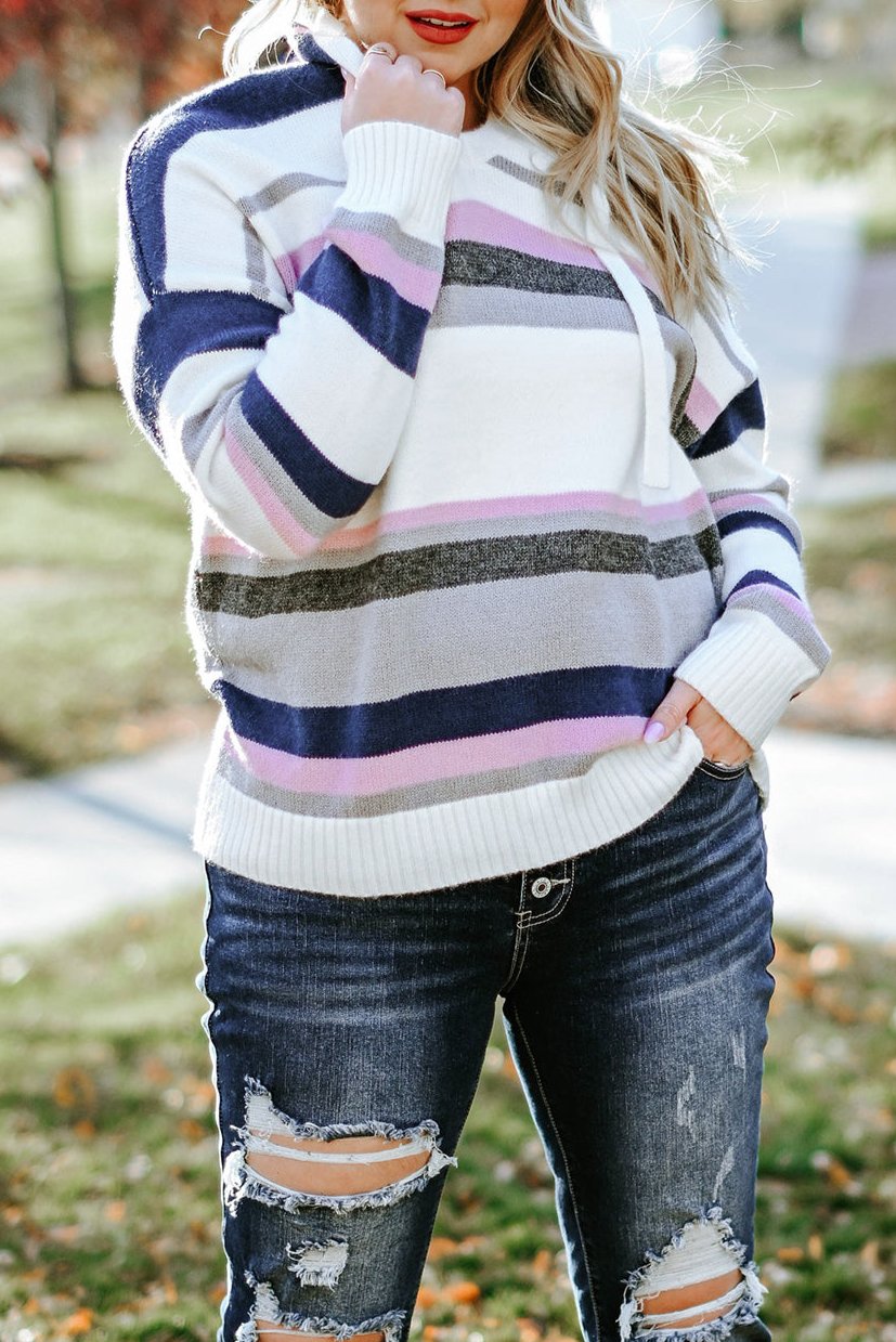 Plus Size Stripe Hooded V-Neck Sweater