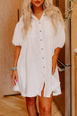 Puff Sleeve Buttoned Shirt Dress