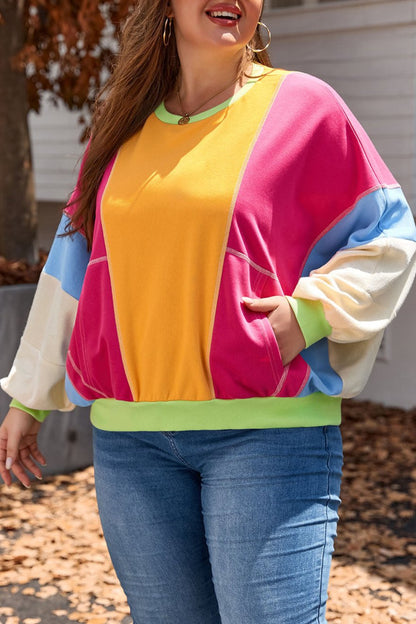 Colorblock Reverse Seam Sweatshirt Plus Size