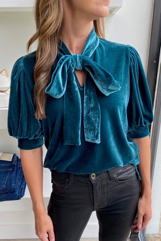 Velvet Bow Tie Neck Top