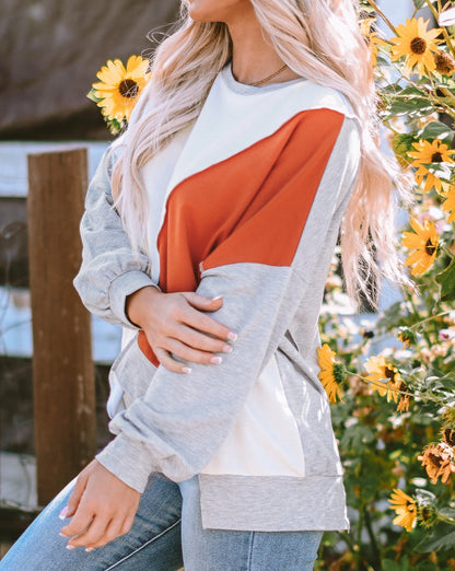 Colorblock Asymmetrical Long Sleeve Top