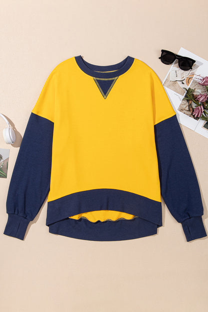 Colorblock Thumbhole Sleeve Sweatshirt