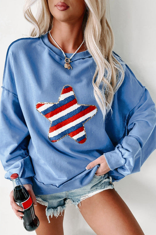 Star Sequin Embroidered Sweatshirt