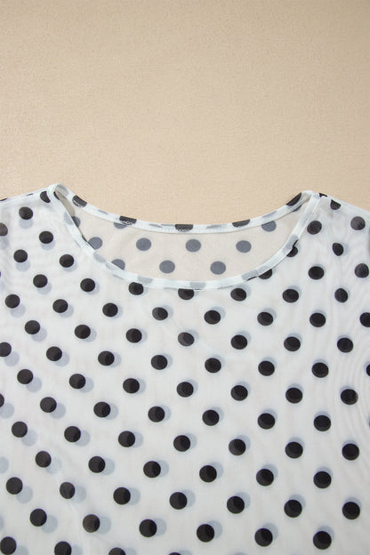 Polka Dot Sheer Mesh Long Sleeve Shift Top