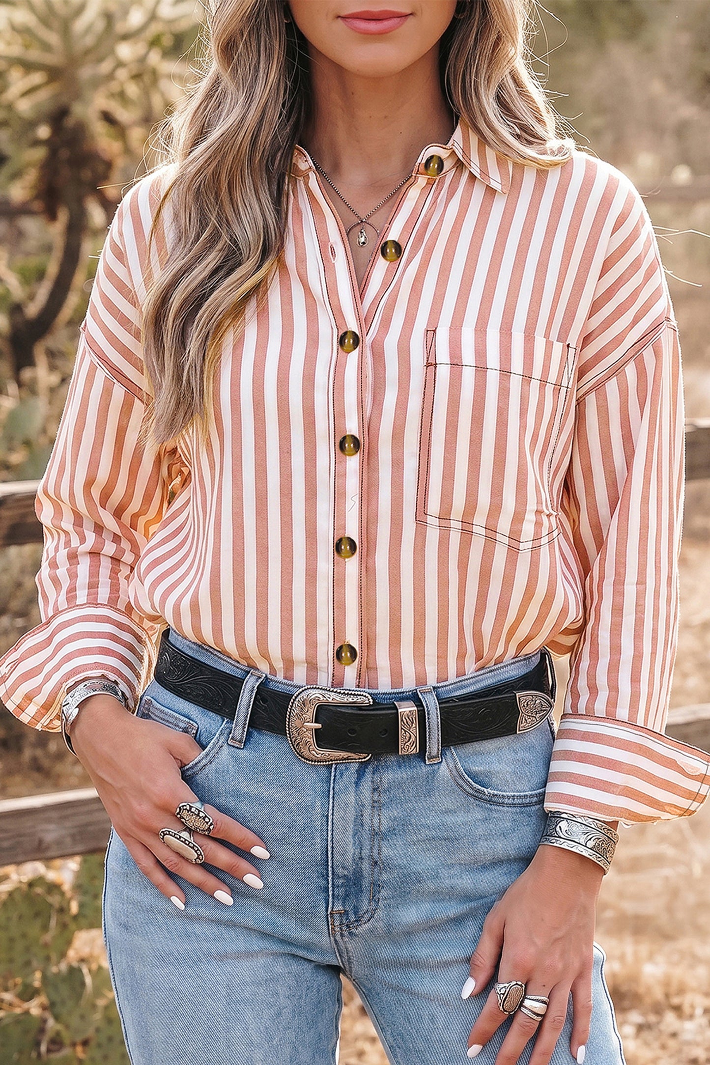 Western Stripe Button Down Long Sleeve Shirt
