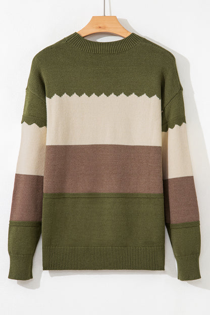 Colorblock Crew Neck Drop Shoulder Sweater