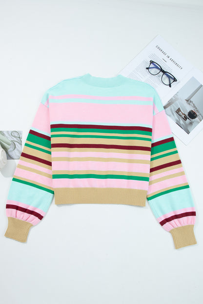Stripe Ribbed Trim Crewneck Cropped Sweater