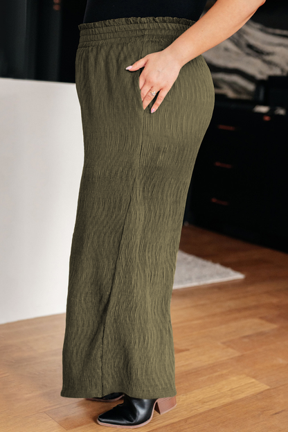 Texture Shirred Waist Pants Plus Size