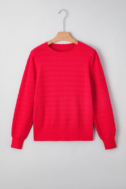 Solid Knit Ribbed Cuff Crewneck Sweater