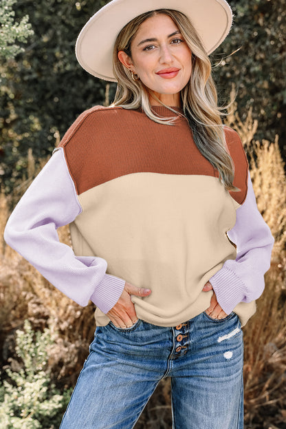 Colorblock Ribbed Knit Long Sleeve Sweater
