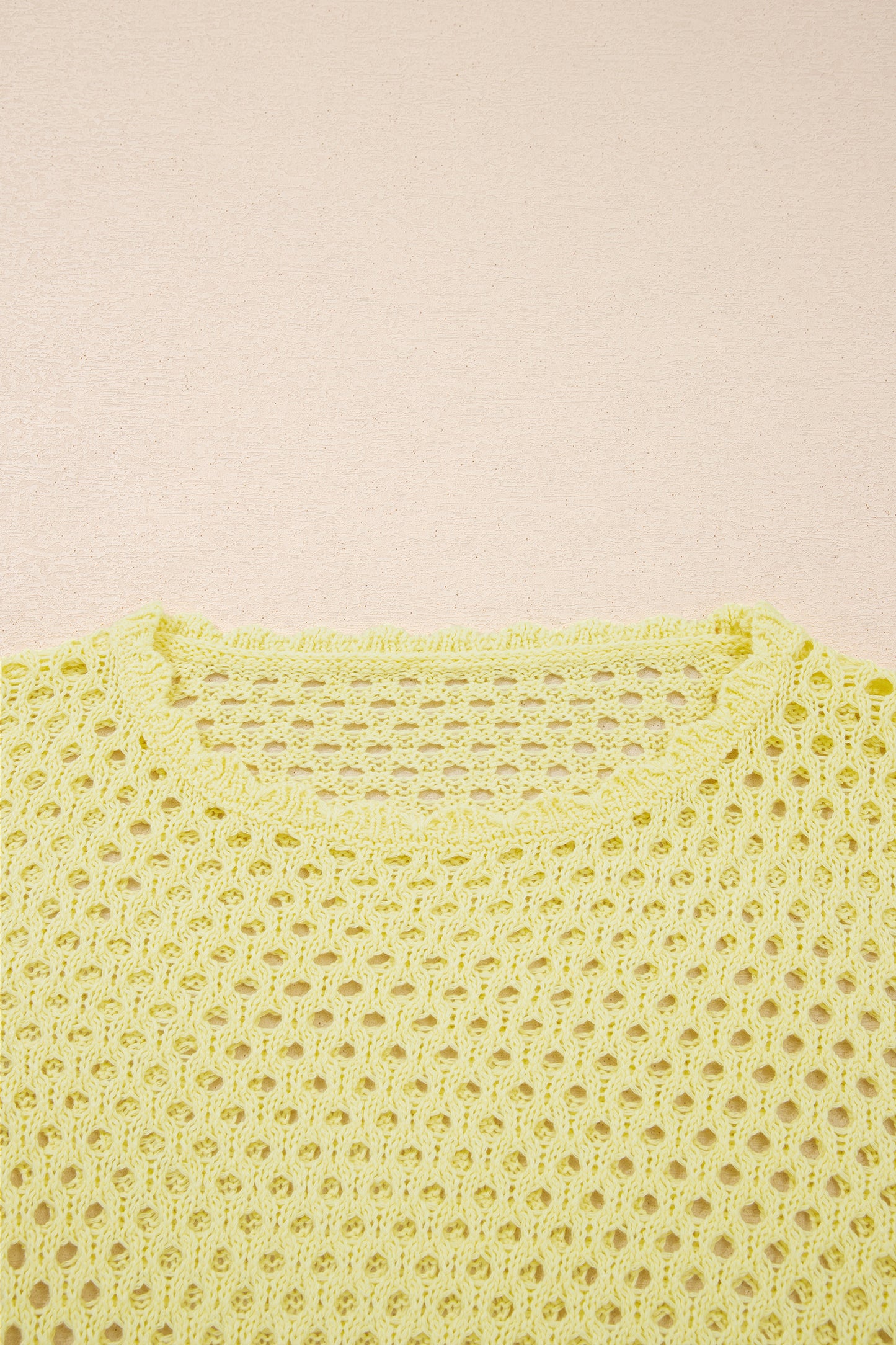 Scalloped Trim Hollow Out Knit Long Sleeve Top
