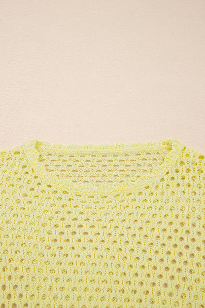 Scalloped Trim Hollow Out Knit Long Sleeve Top