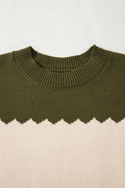 Colorblock Crew Neck Drop Shoulder Sweater
