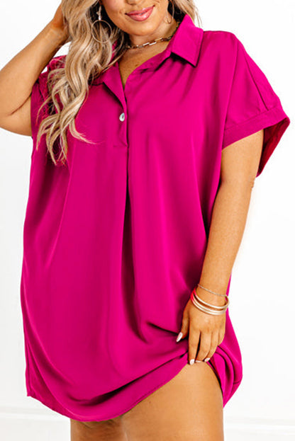 Collared V-Neck Shift Dress Plus Size