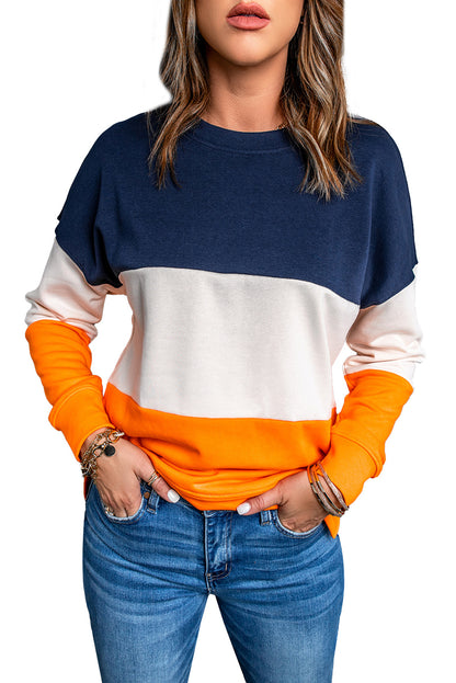 Colorblock Drop Shoulder Sweatshirt