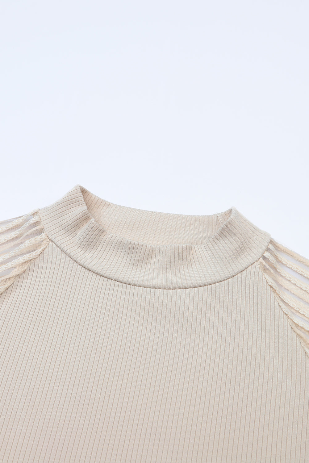 Stripe Ribbed Mesh Long Sleeve Crewneck Top