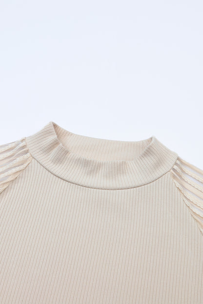Stripe Ribbed Mesh Long Sleeve Crewneck Top