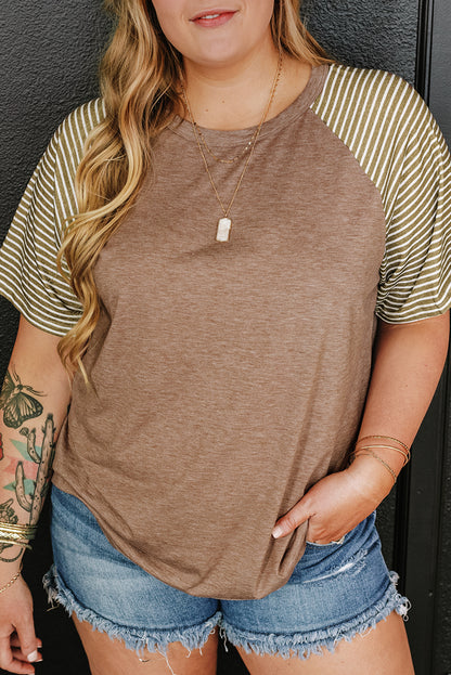 Stripe Raglan Sleeve T-Shirt Plus Size