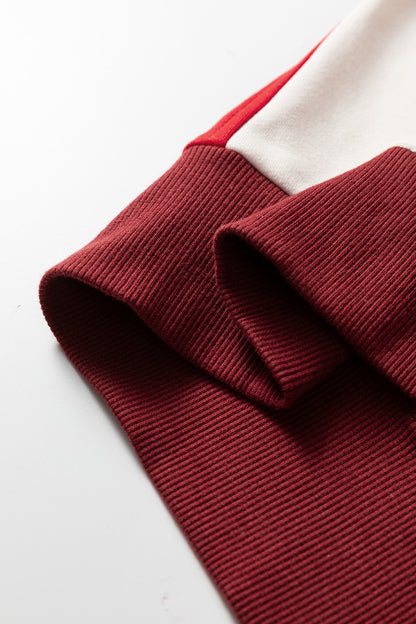 Colorblock Snap Button Polo Collar Oversize Sweatshirt