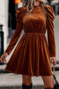 Velvet Ruched Puff Sleeve Dress